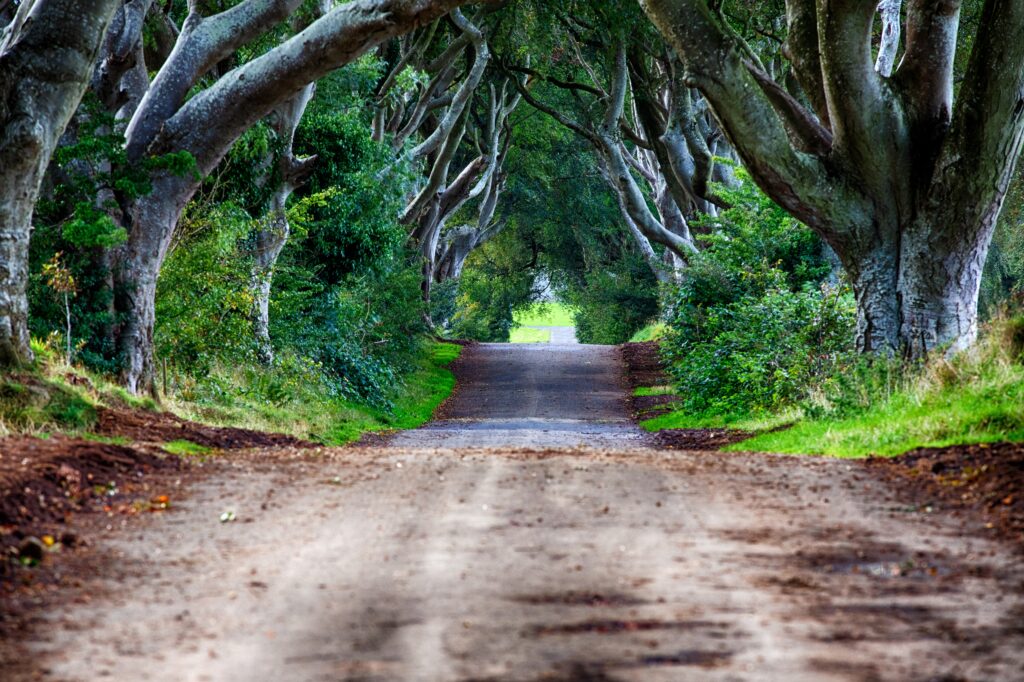 Britain’s 10 Greatest Roads to Drive On
