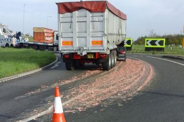Lorry Sheds Load in Clifton, Leaving Chicken Organs Strewn Across A453
