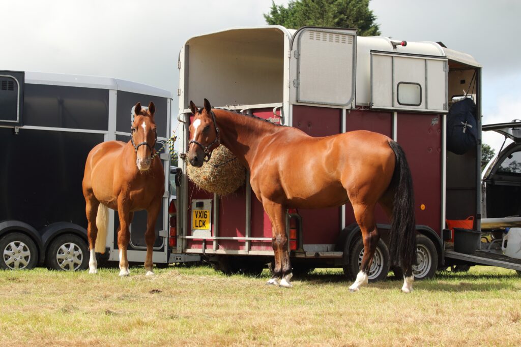 What size horsebox can I drive on a car licence?