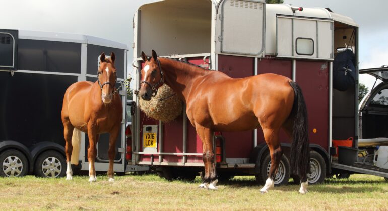 What size horsebox can I drive on a car licence - HGV Training Network